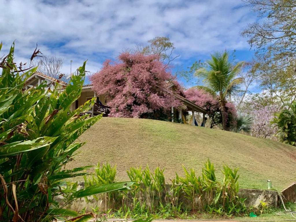 Foto 13 de LINDA CASA DE CAMPO em MOURA BRASIL, TRÊS RIOS RJ