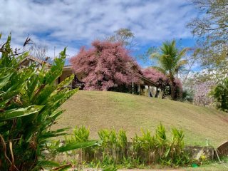 Miniatura de LINDA CASA DE CAMPO