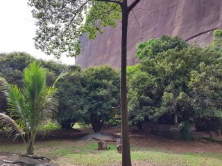 Miniatura de SITIO COM NATUREZA PRIVILEGIADA