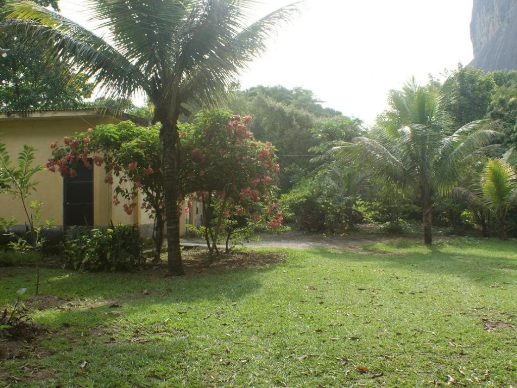 Foto 21 de SITIO COM NATUREZA PRIVILEGIADA em PARAIBUNA, COMENDADOR LEVY GASPARIAN