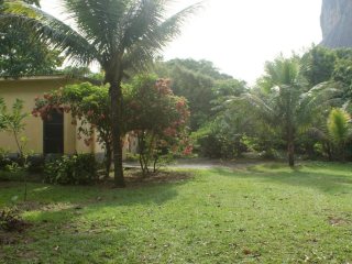 Miniatura de SITIO COM NATUREZA PRIVILEGIADA