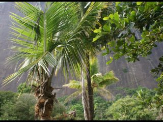 Miniatura de SITIO COM NATUREZA PRIVILEGIADA
