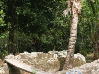 Miniatura de SITIO COM NATUREZA PRIVILEGIADA