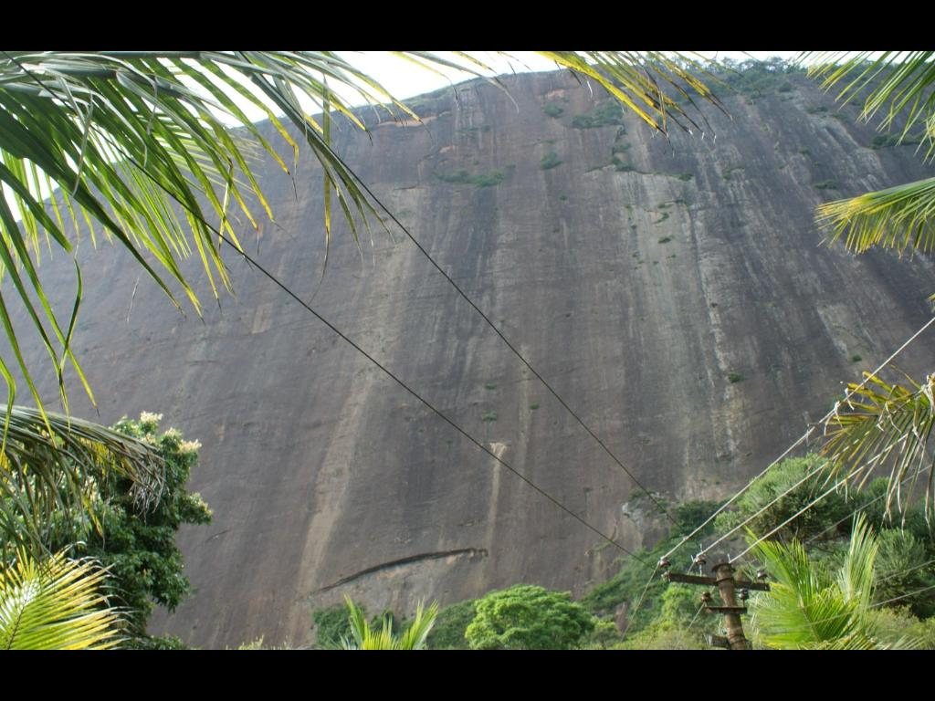 Foto 33 de SITIO COM NATUREZA PRIVILEGIADA em PARAIBUNA, COMENDADOR LEVY GASPARIAN