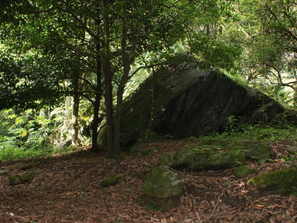 Foto 38 de SITIO COM NATUREZA PRIVILEGIADA em PARAIBUNA, COMENDADOR LEVY GASPARIAN