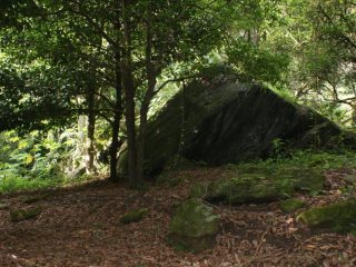 Miniatura de SITIO COM NATUREZA PRIVILEGIADA