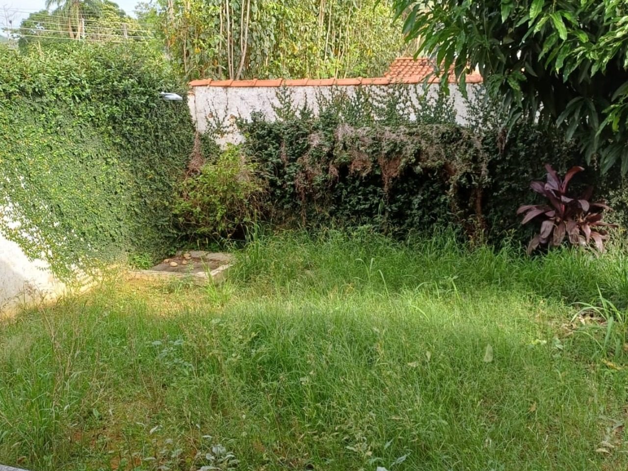 Foto 8 de CASA DE 3 QUARTOS NO VALE DOS BARÔES em centro, Três Rios